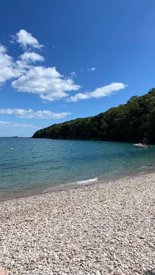 The Bonting Beautiful Three Bed Townhouse Near Harbour And Beach Torquay Exteriör bild